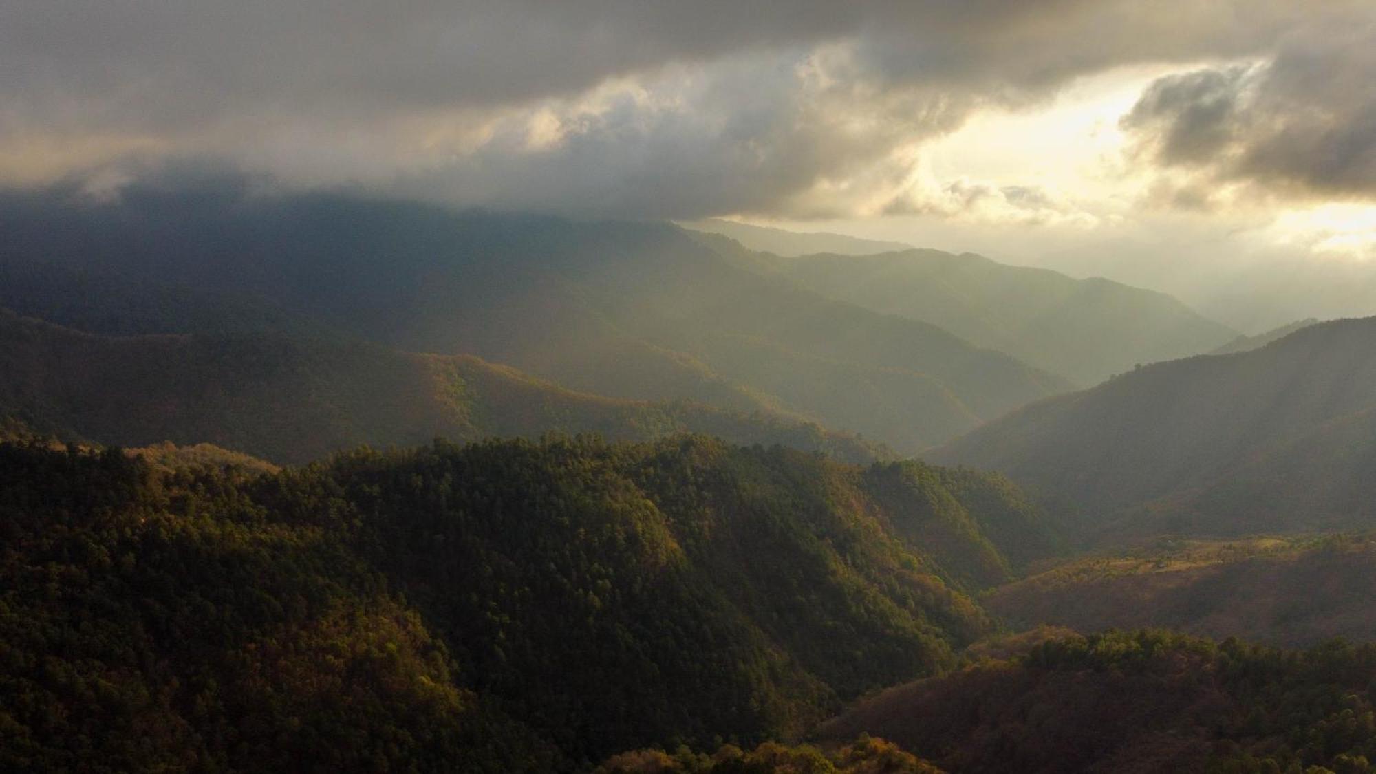San Jose Del Pacifico- Cabanas Camino Al Cielo 1 Екстер'єр фото