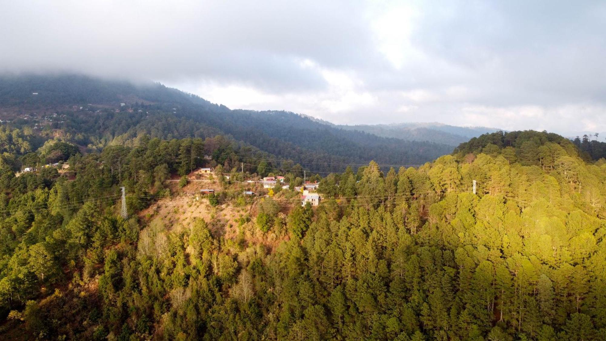 San Jose Del Pacifico- Cabanas Camino Al Cielo 1 Екстер'єр фото