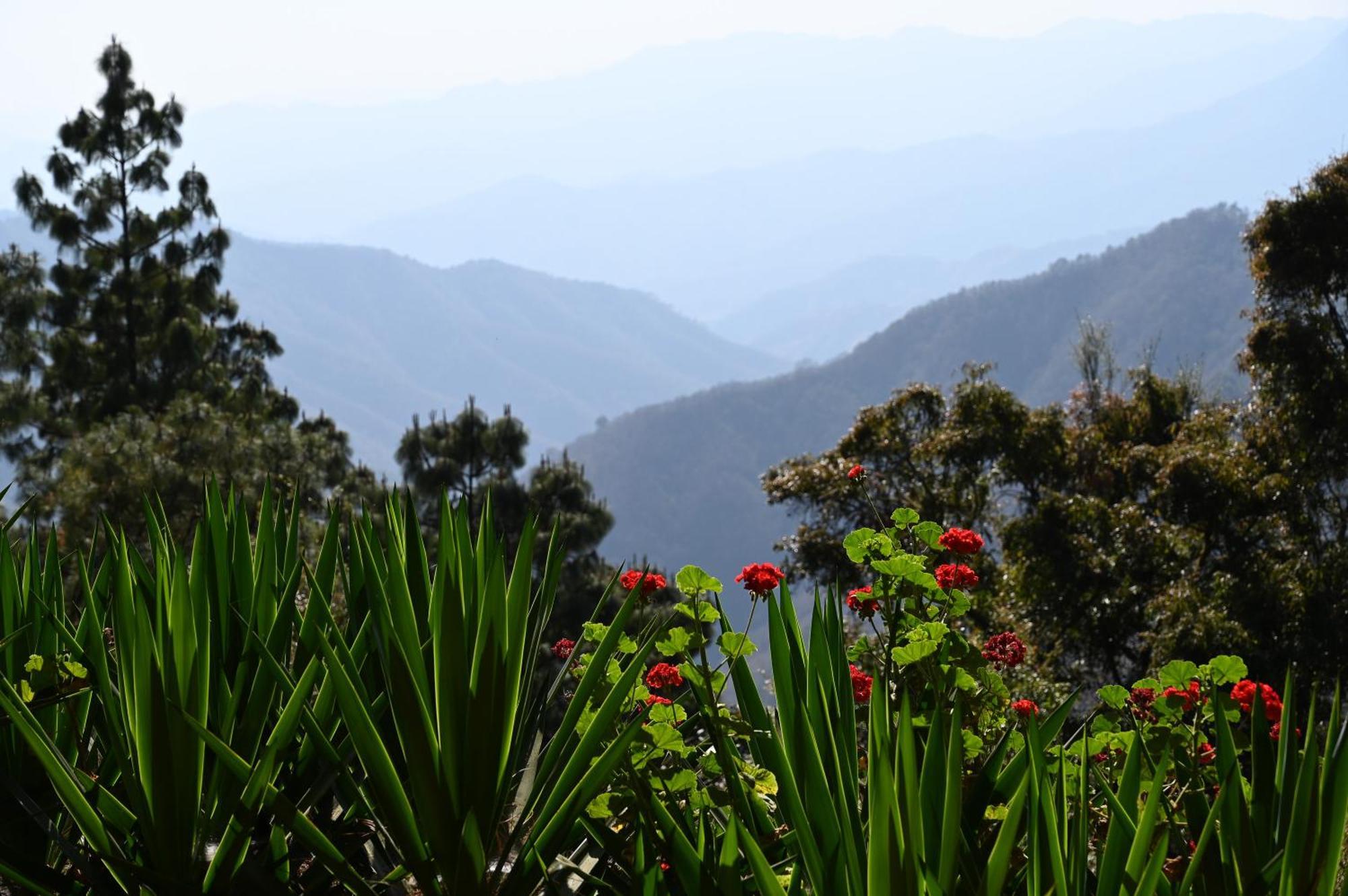 San Jose Del Pacifico- Cabanas Camino Al Cielo 1 Екстер'єр фото